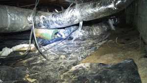 Messy Crawl Space - Timco Insulation