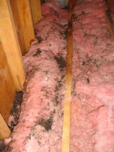 Damaged insulation - Timco Insulation